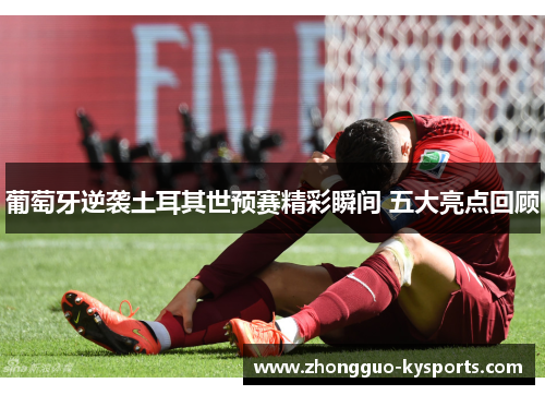 葡萄牙逆袭土耳其世预赛精彩瞬间 五大亮点回顾 葡萄牙逆袭土耳其世预赛精彩瞬间 五大亮点回顾