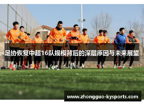 足协恢复中超16队规模背后的深层原因与未来展望