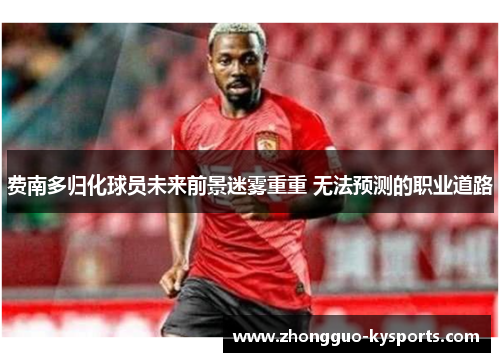 费南多归化球员未来前景迷雾重重 无法预测的职业道路